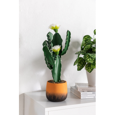 Künstlicher Kaktus Ali , Terrakotta-Rose, H.25 cm