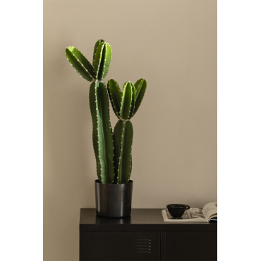 Künstlicher Kaktus San Pedro DENIZ, grün, 80cm