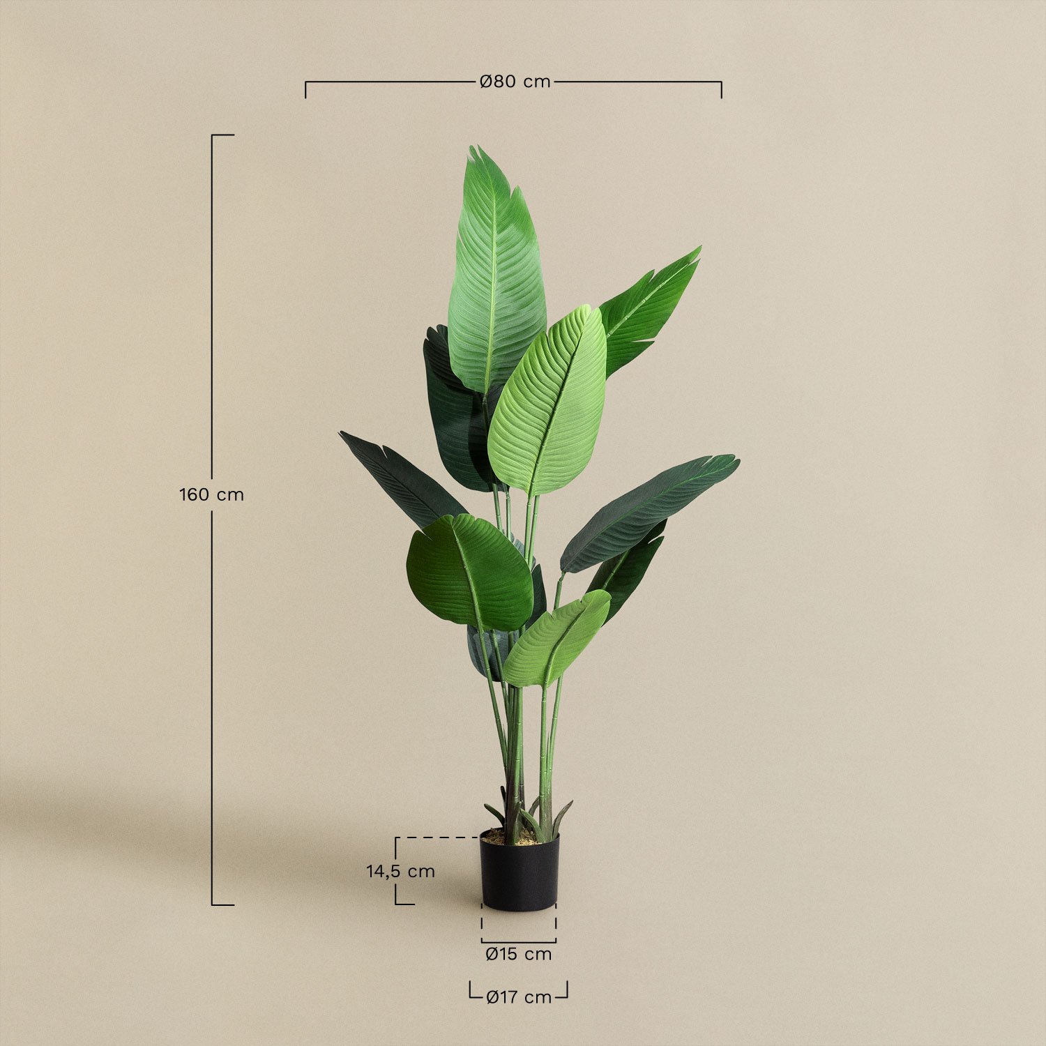 Künstliche dekorative Bananenpflanze 160 cm, MAßE