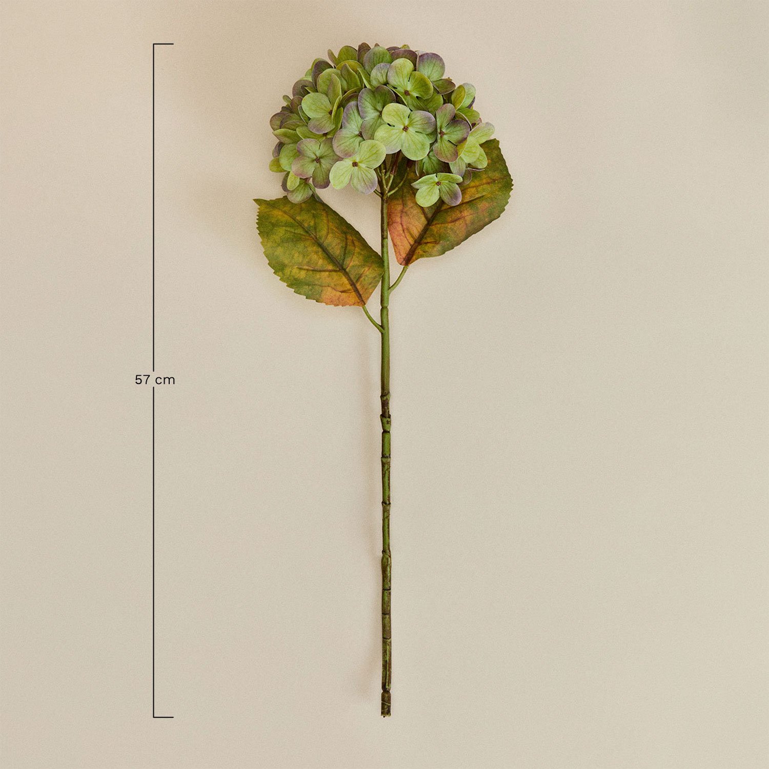 Pack mit 2 dekorativen Aurivel-Blumen, MAßE