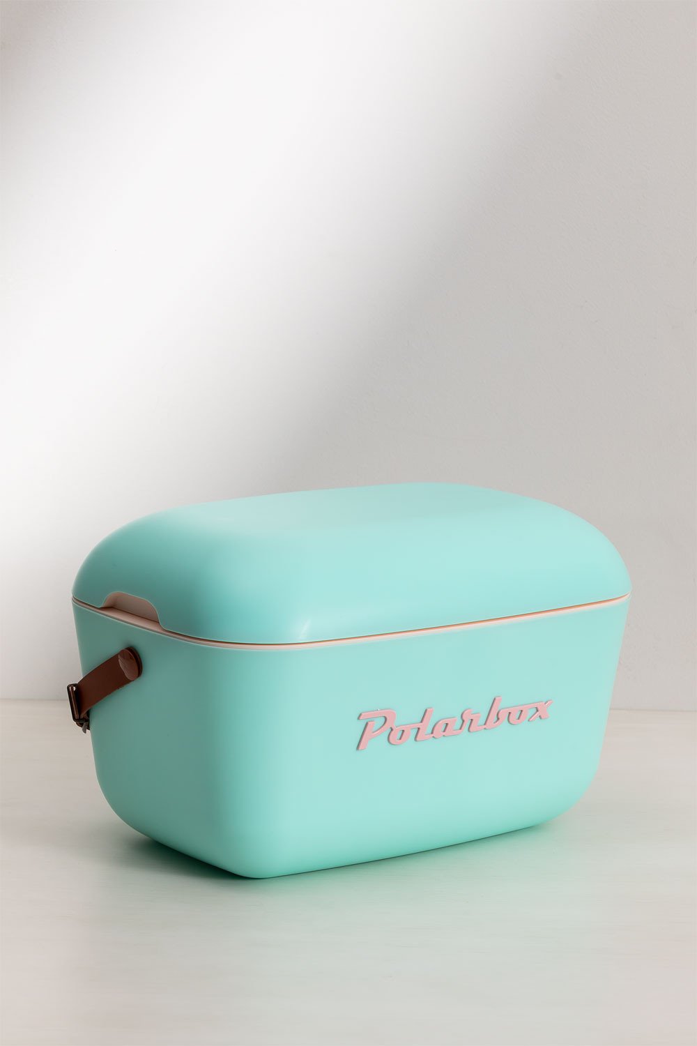 Polarbox Kühlbox Pastellgrün 20 Liter kaufen? Bei
