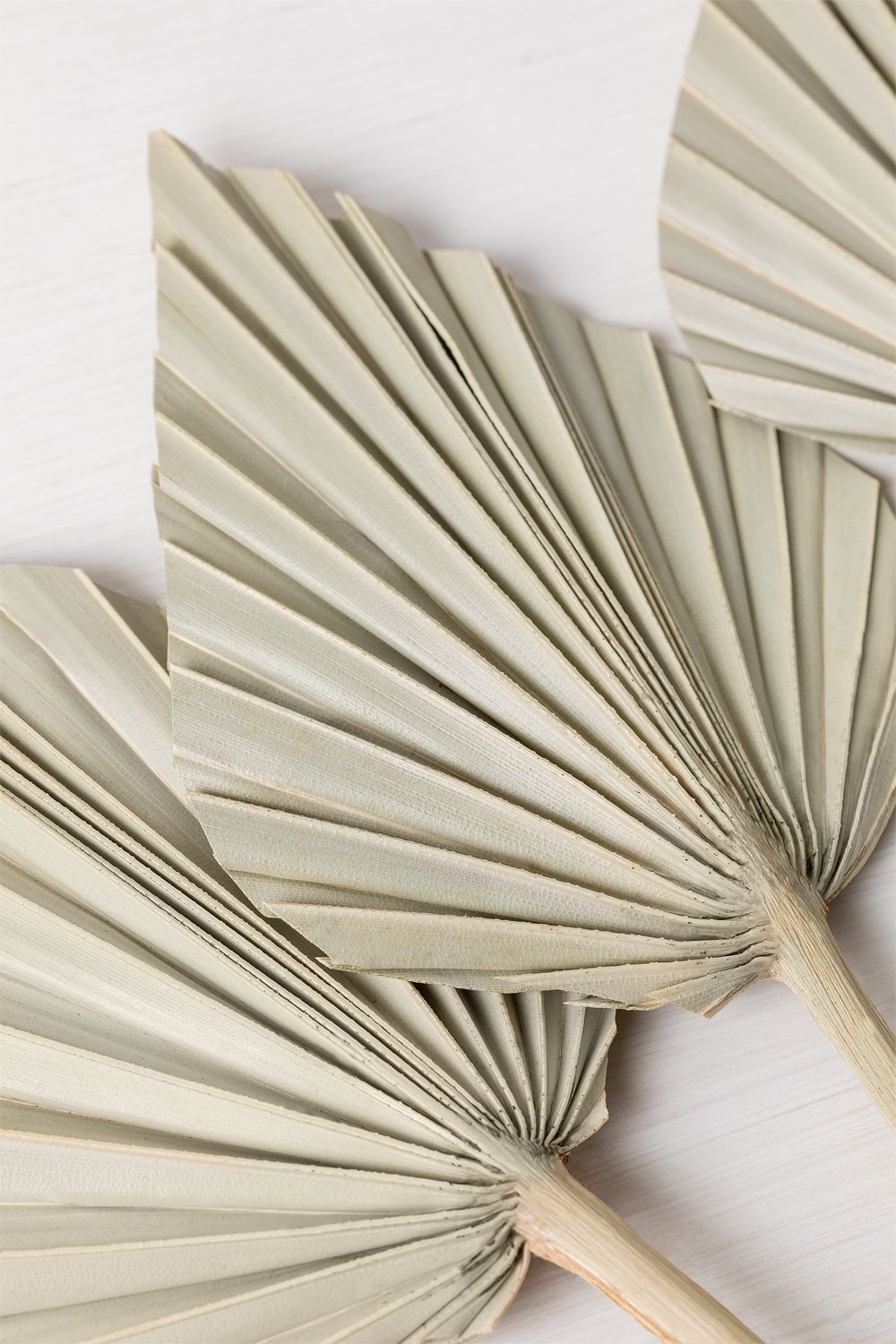 6er Set mit dekorativen getrockneten Zweigenn Beliefe, Galeriebild 3