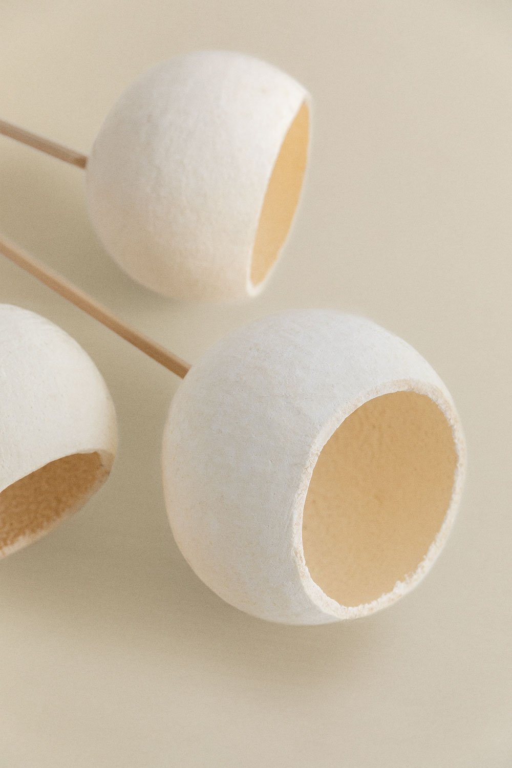 5er Pack dekorative getrocknete Äste von Aegle               , Galeriebild 4