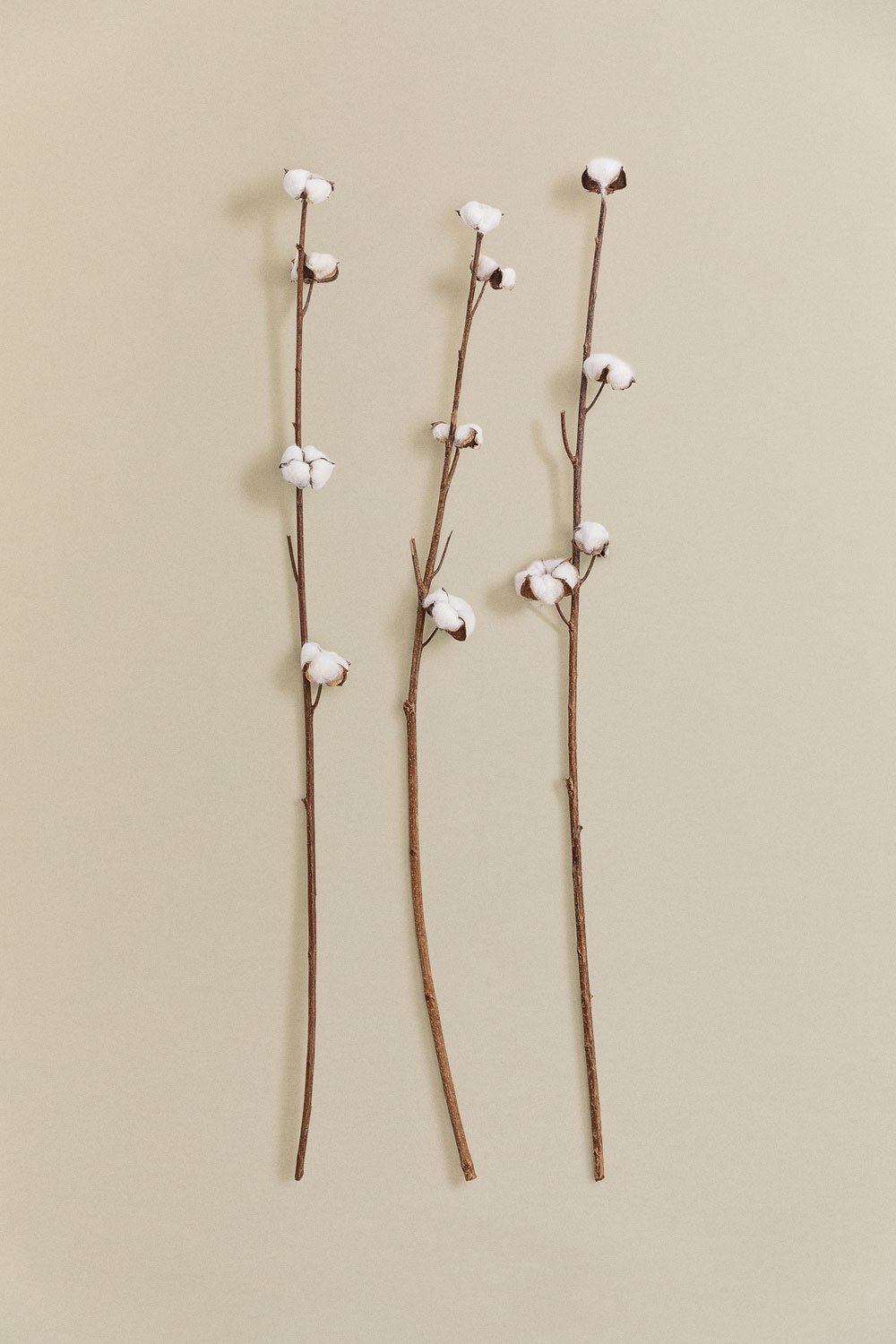 3er Set mit dekorativen getrockneten Zweigen Vedran, Galeriebild 1
