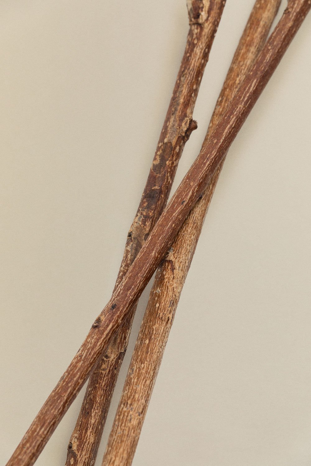 3er Set mit dekorativen getrockneten Zweigen Vedran, Galeriebild 3