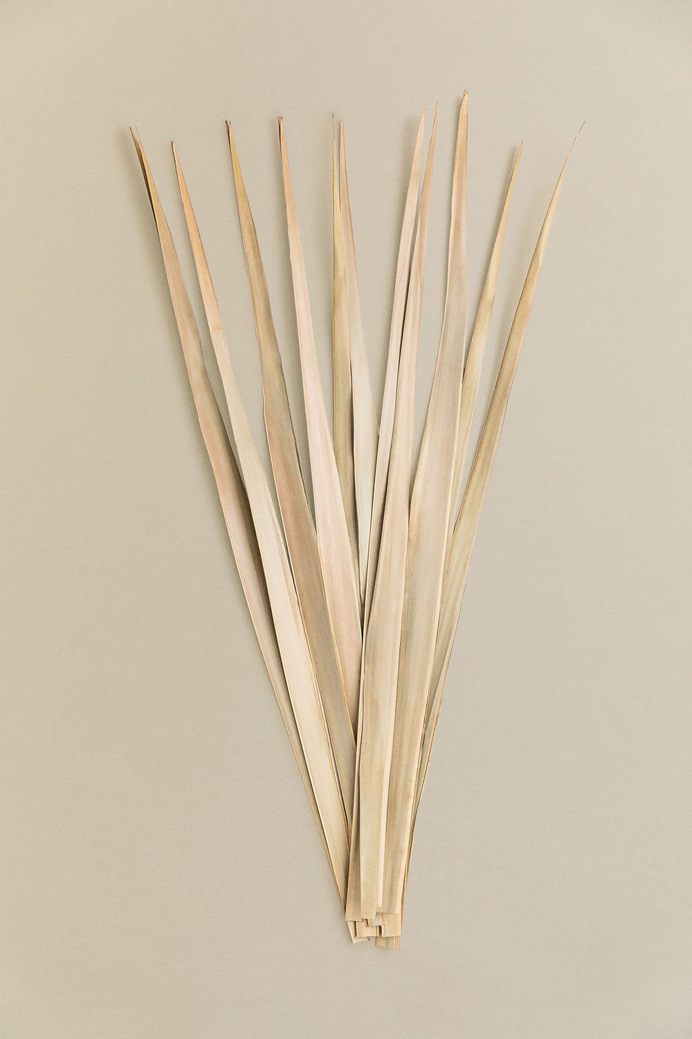 Packung mit 10 Yusein dekorativen trockenen Zweigen, Galeriebild 1