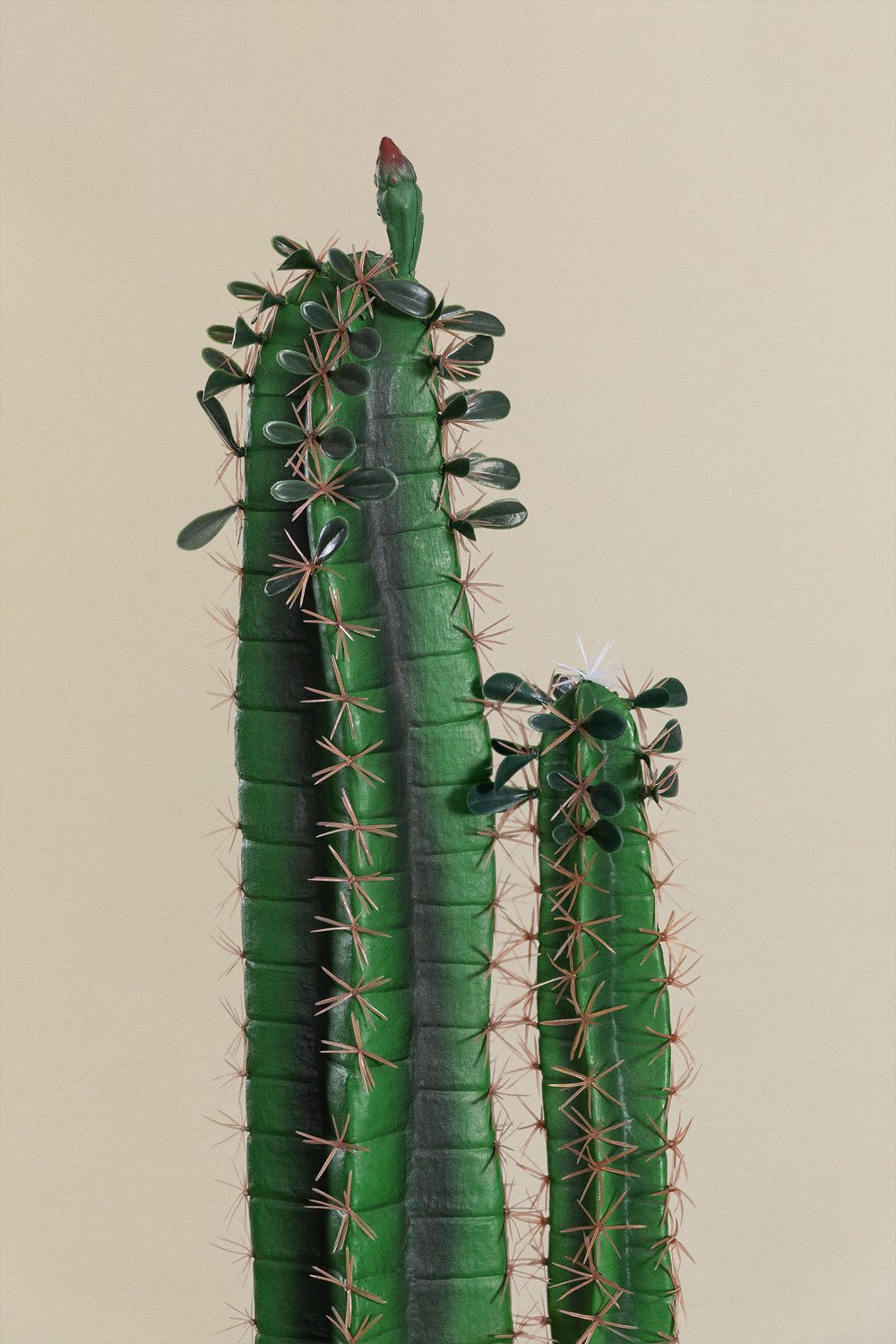 Artifloral Künstliche Kaktus-Pflanzen-Set mit Weißen Keramik
