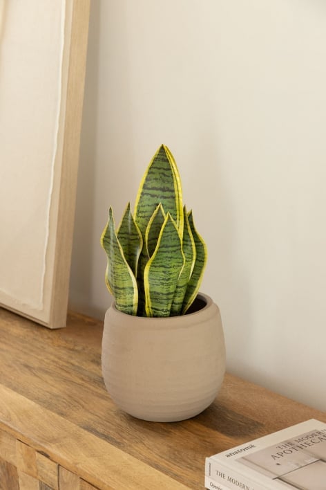 Dekorative Kunstpflanze Sansevieria 45 cm