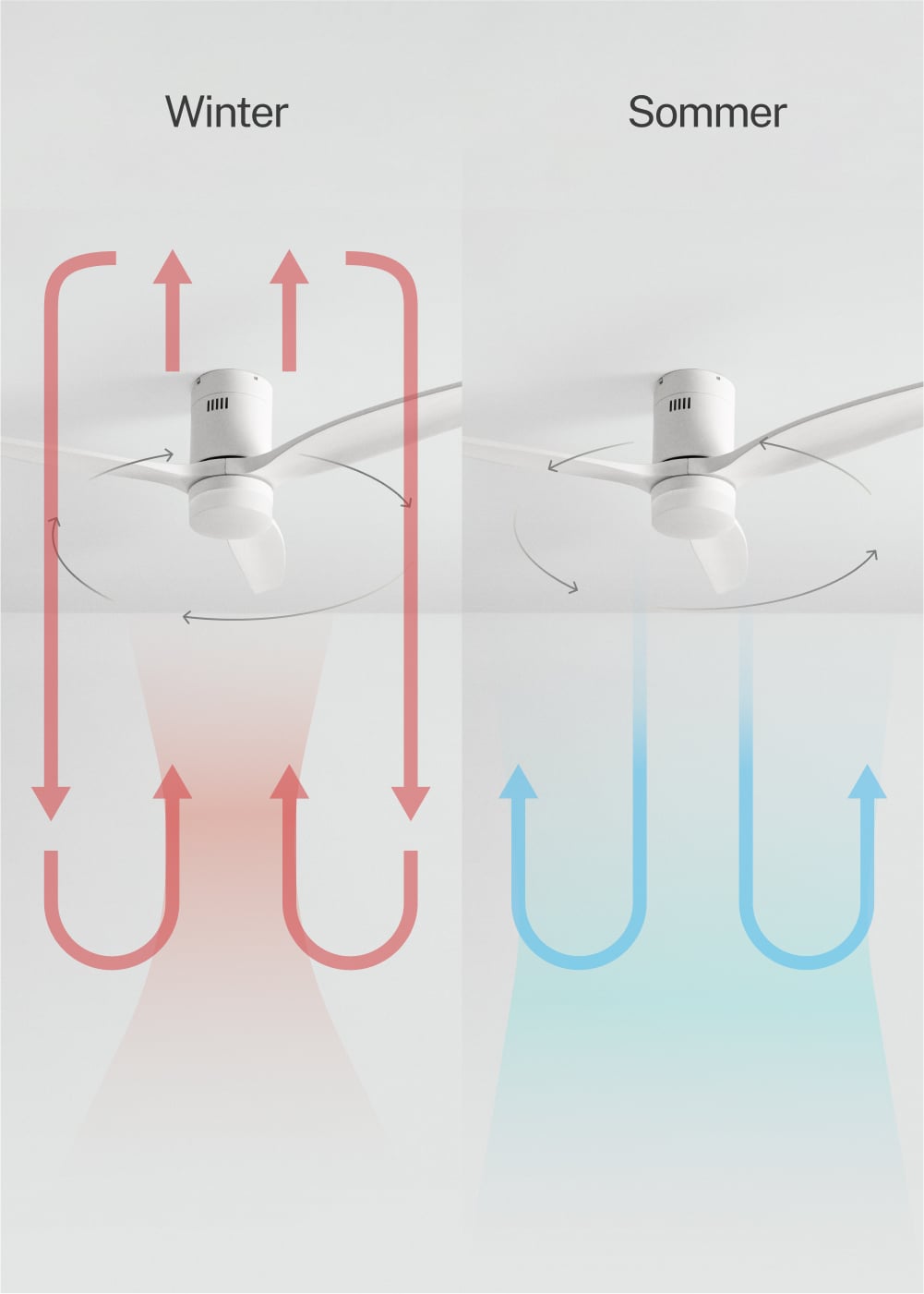 CREATE - WIND CALM - Ventilador de techo 40W silencioso Ø132 cm 100% madera, Galeriebild 3