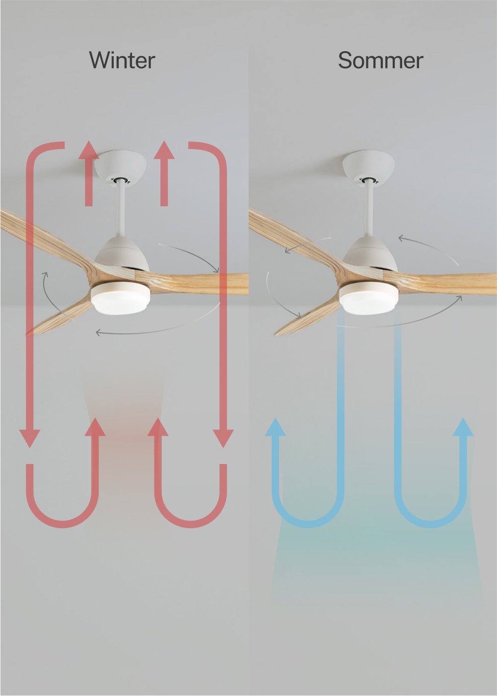 CREATE - WIND CUP - Leiser Deckenventilator 40W Ø132 cm 100% Holz, Galeriebild 3