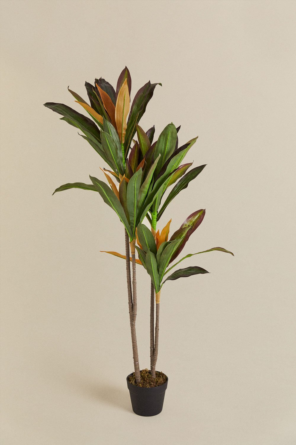 Dekorative Kunstpflanze Dracaena, Galeriebild 2