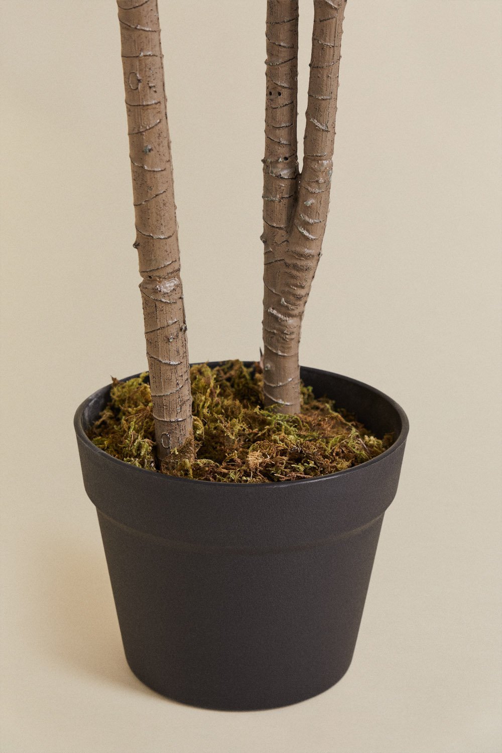 Dekorative Kunstpflanze Dracaena, Galeriebild 5