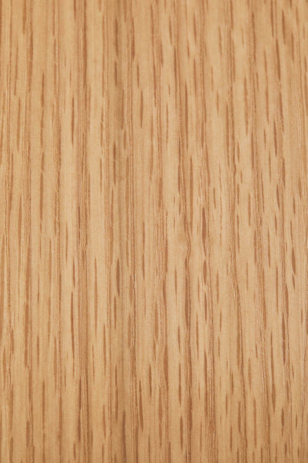 Packung mit 2 Elionora-Esszimmerstühlen aus Holz, Galeriebild 7