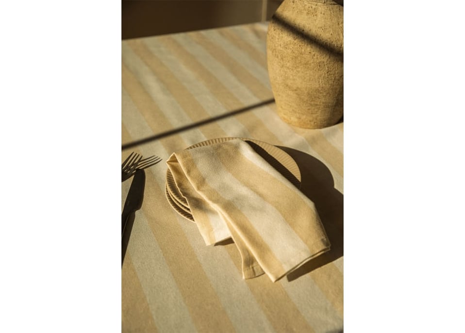 Set aus 2 Baumwollservietten Efarin