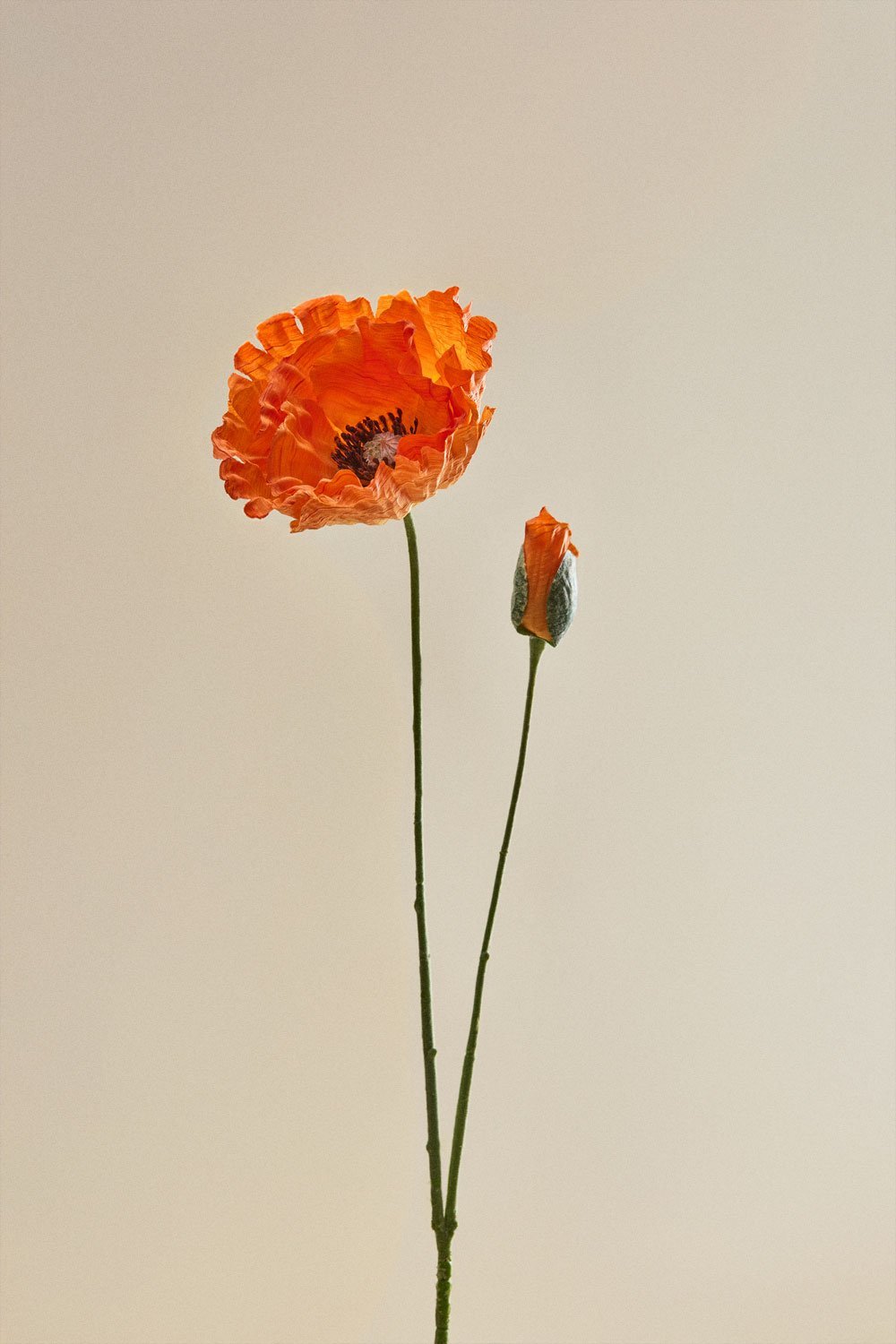 Dekorativer Strauß Arandelle, Galeriebild 5