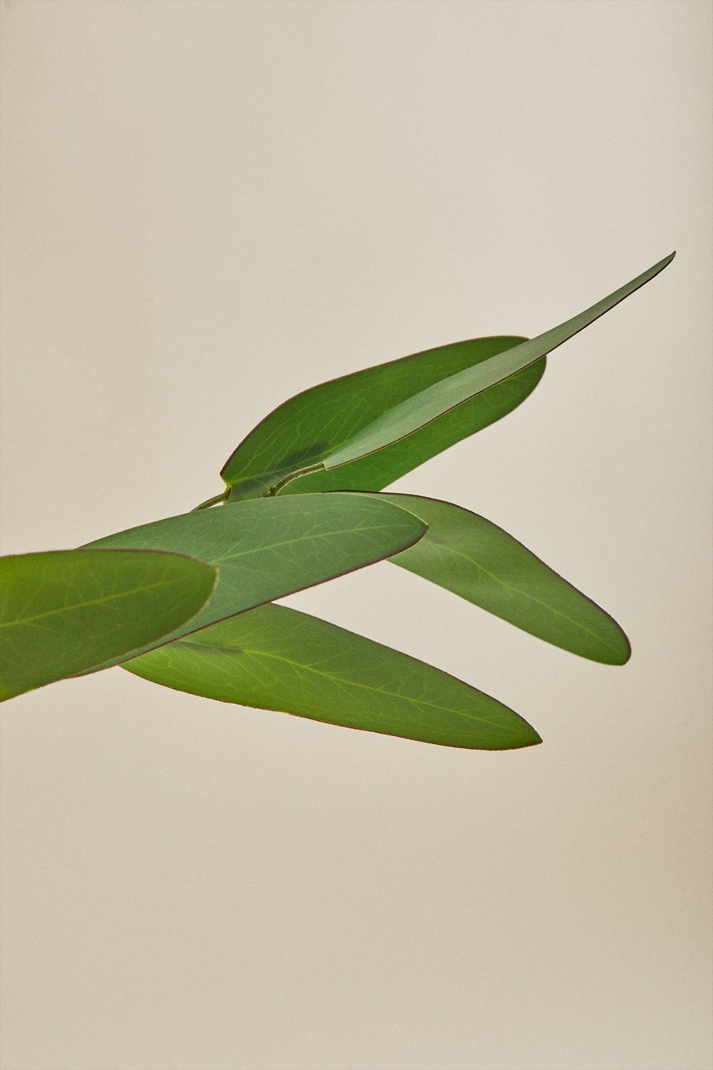 Agavriel Dekorativer Strauß, Galeriebild 8