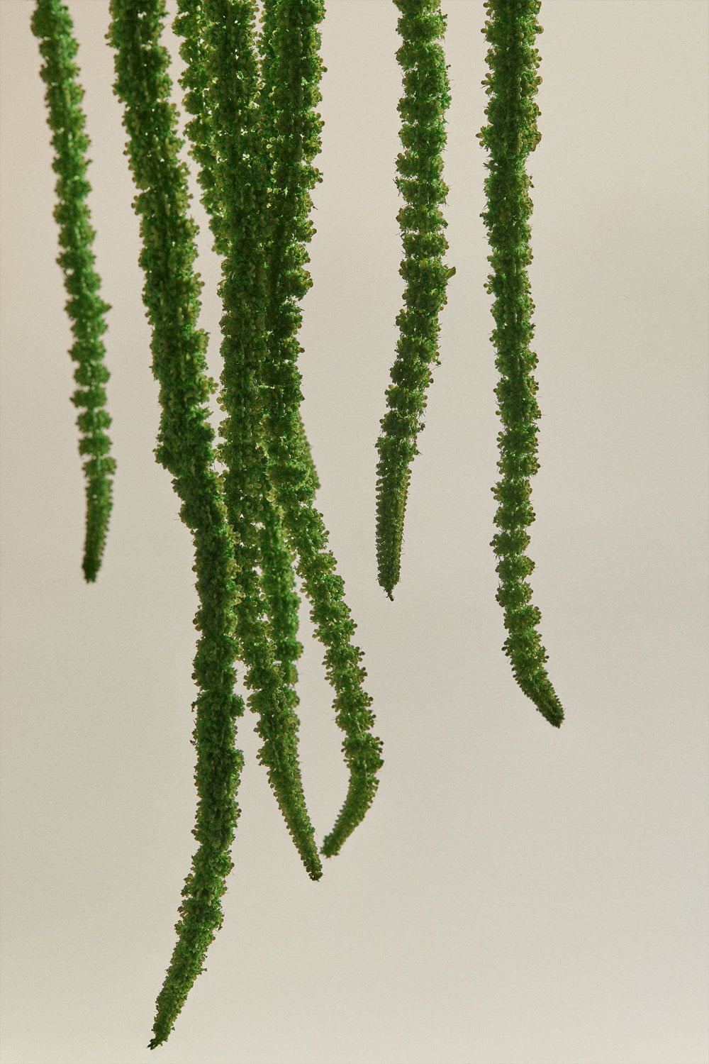 Agavriel Dekorativer Strauß, Galeriebild 12