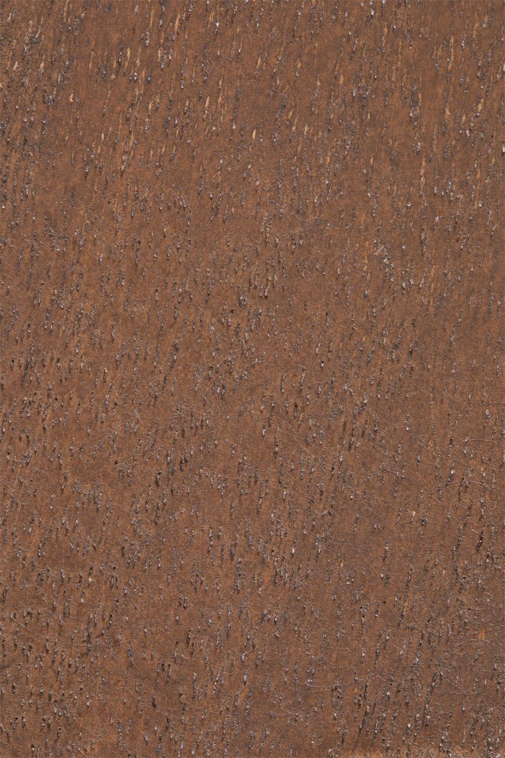 4er-Set Wandhaken aus Holz Daxro, Galeriebild 5