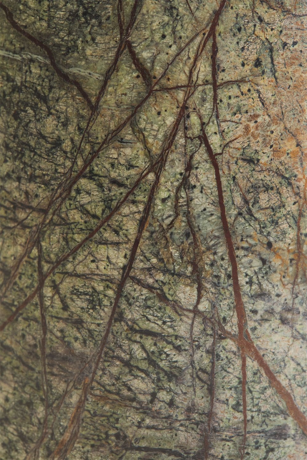 Lyrda Marmelkrug, Galeriebild 7