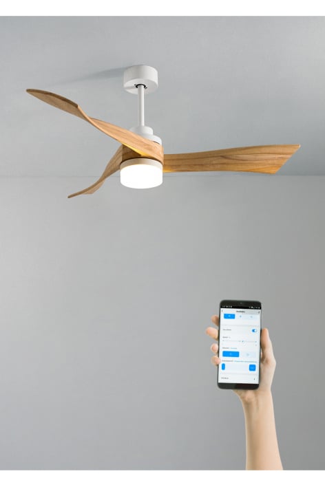 CREATE - WIND CURVE - Ventilador de techo 40W silencioso Ø132 cm 100% madera