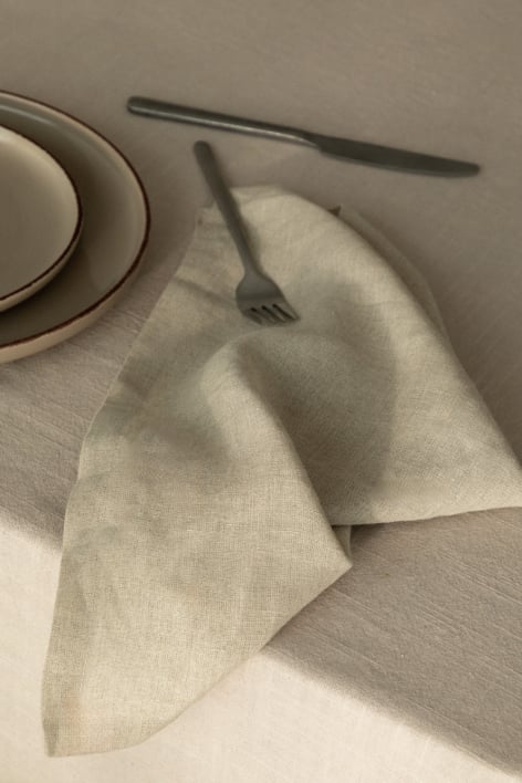 Set de 2 servilletas en lino Zendan
