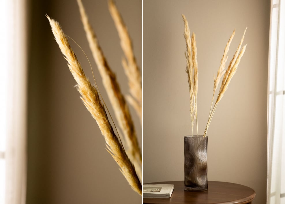 Pack de 6 ramas secas decorativas Megina