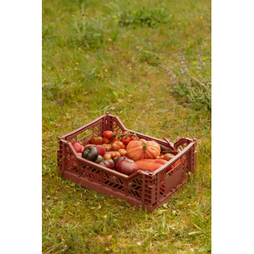 Caja Plegable Y Apilable De Plástico Doli Terracota & 40 Cm - Sklum