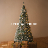 Imagen representativa de la categoría Special Price Árboles de Navidad