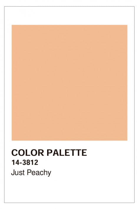 Lámina Decorativa (30x40 cm) Color Palette   