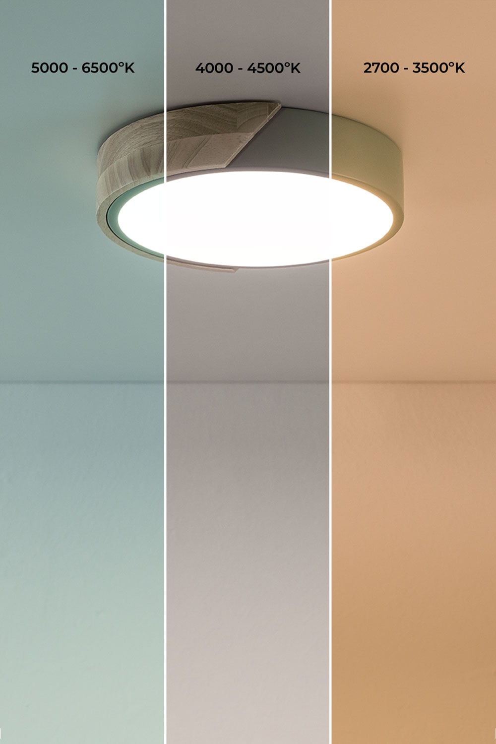 Plafón de techo LED redondo en hierro Jan            , imagen de galer&iacute;a 5