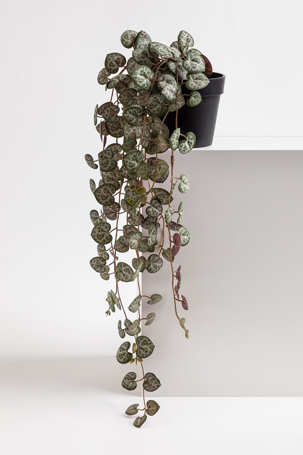 Planta Artificial Colgante Dischidia - Alta Gracia Deco