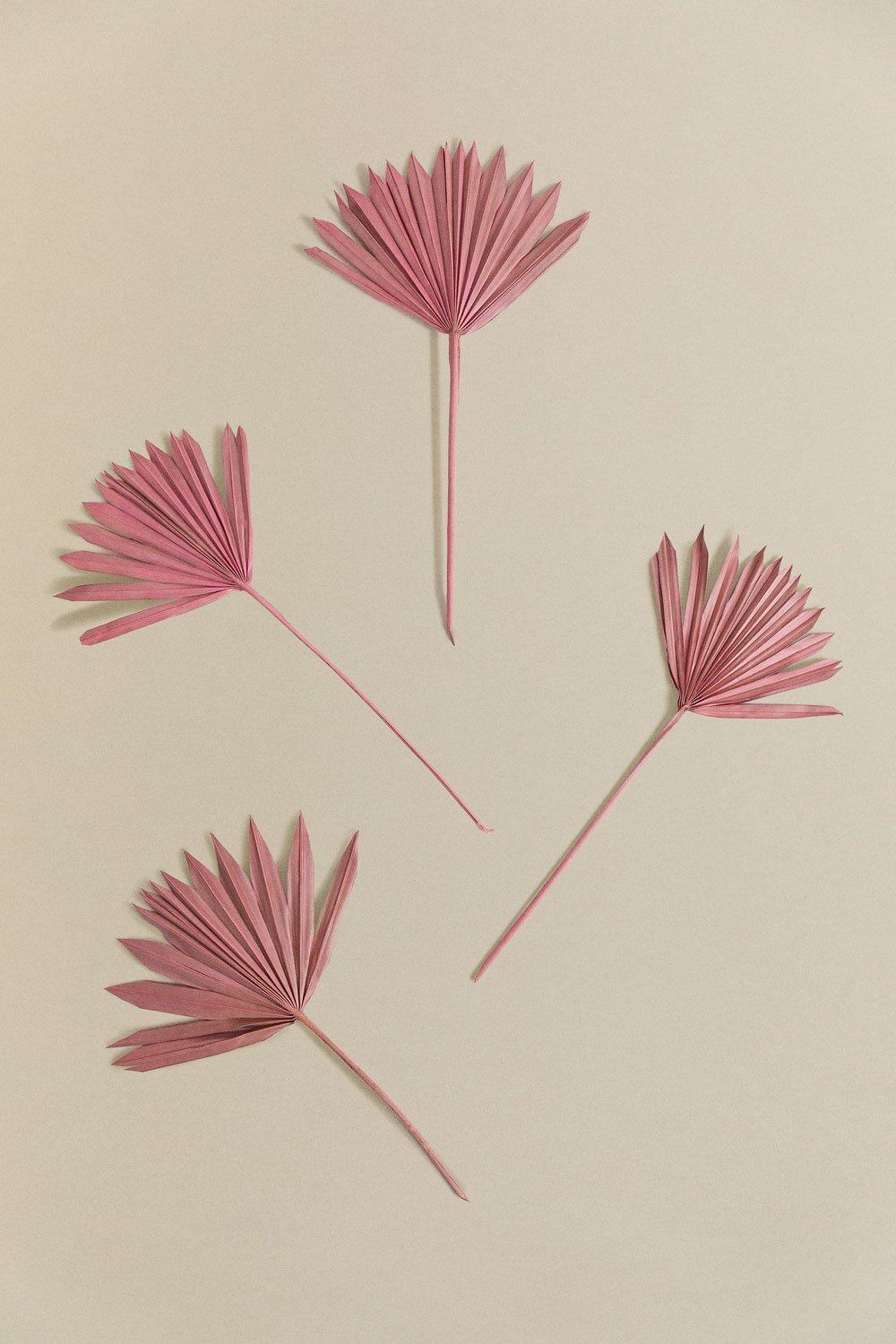 Pack de 4 ramas secas decorativas Urpek       , imagen de galería 3