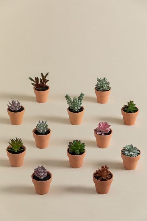 Pack de 12 Mini Cactus Artificiales Amery
