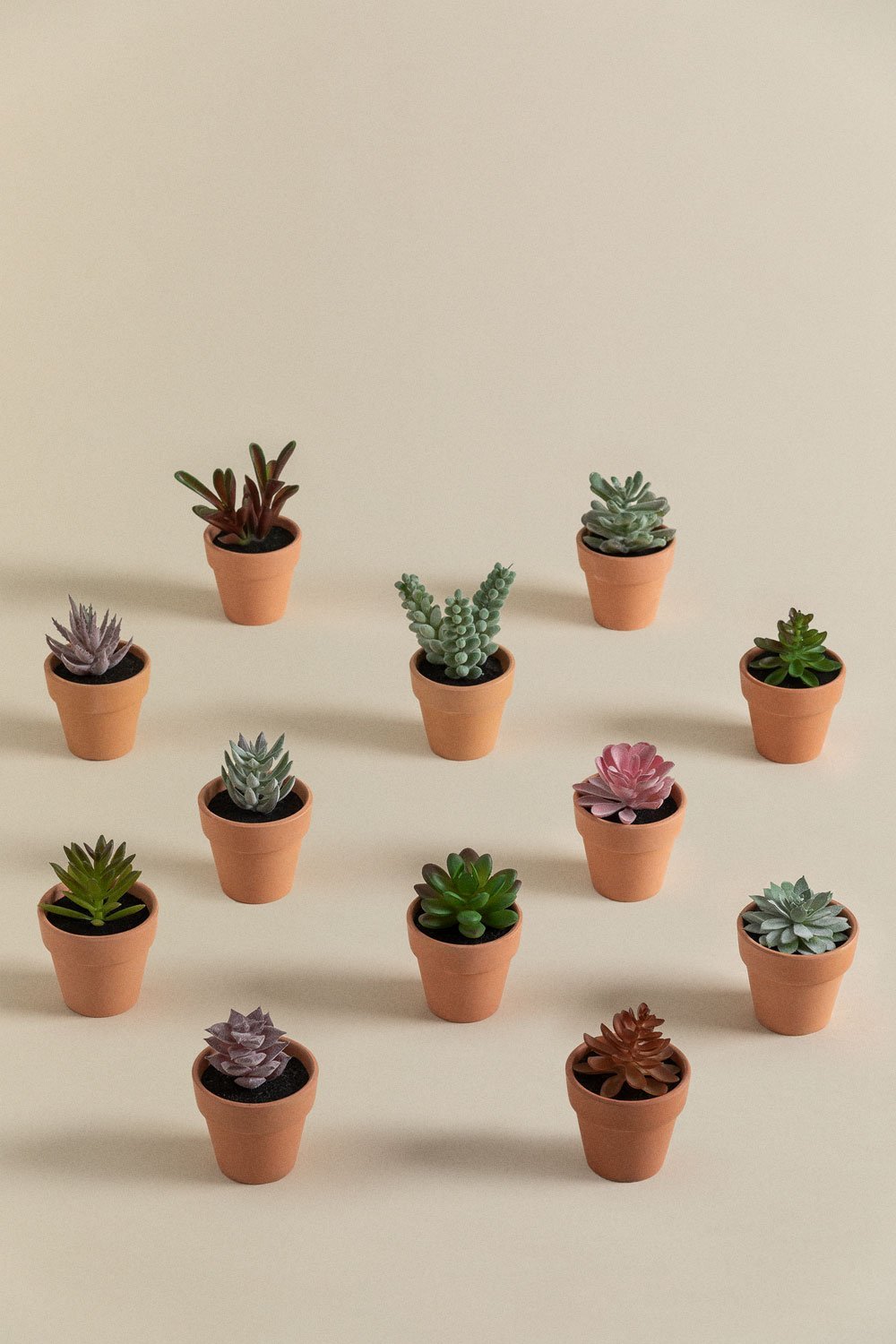 Pack de 12 Mini Cactus Artificiales Amery, imagen de galería 1