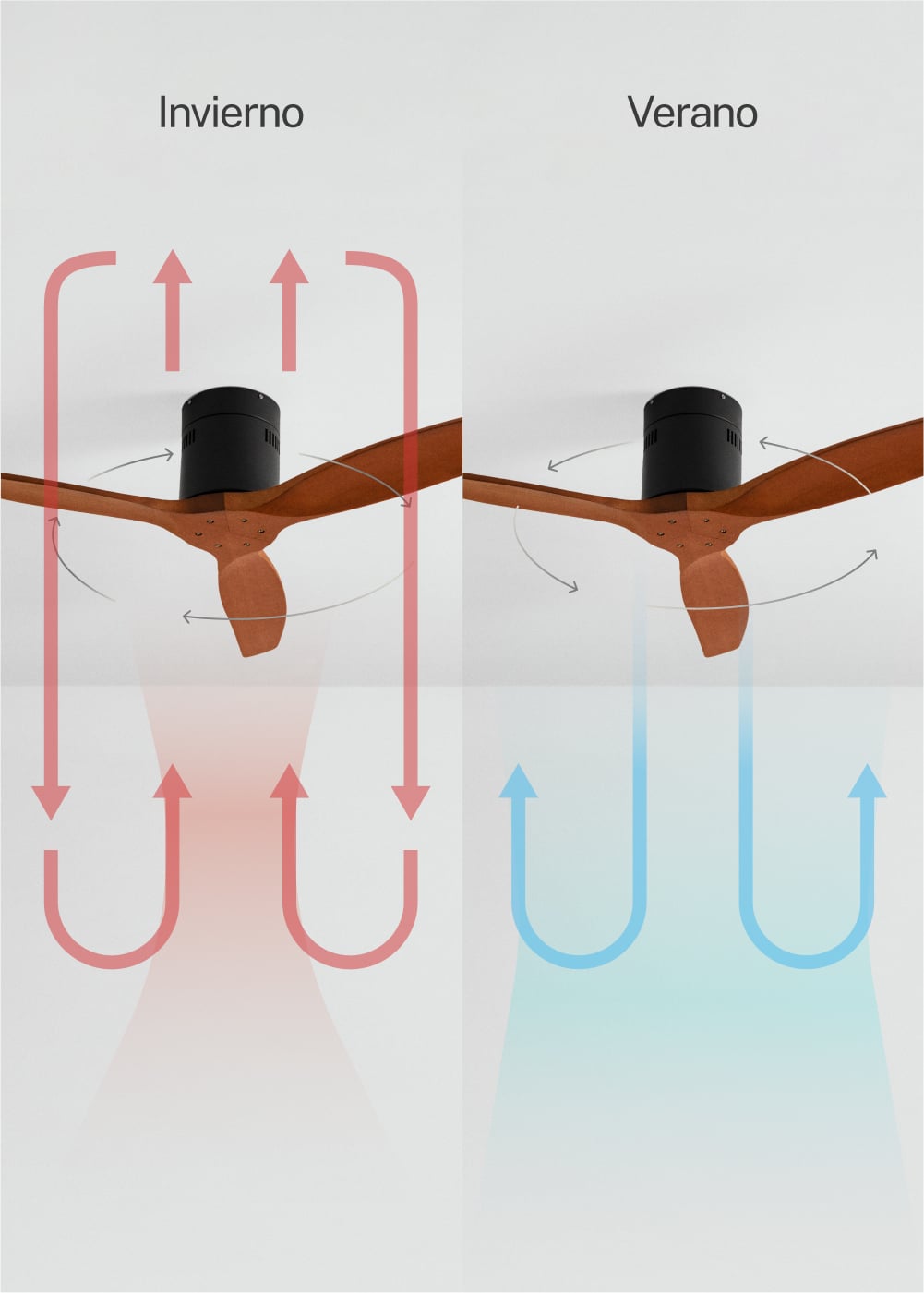 CREATE - WIND CALM - Ventilador de techo 40W silencioso Ø132 cm 100% madera, imagen de galer&iacute;a 3