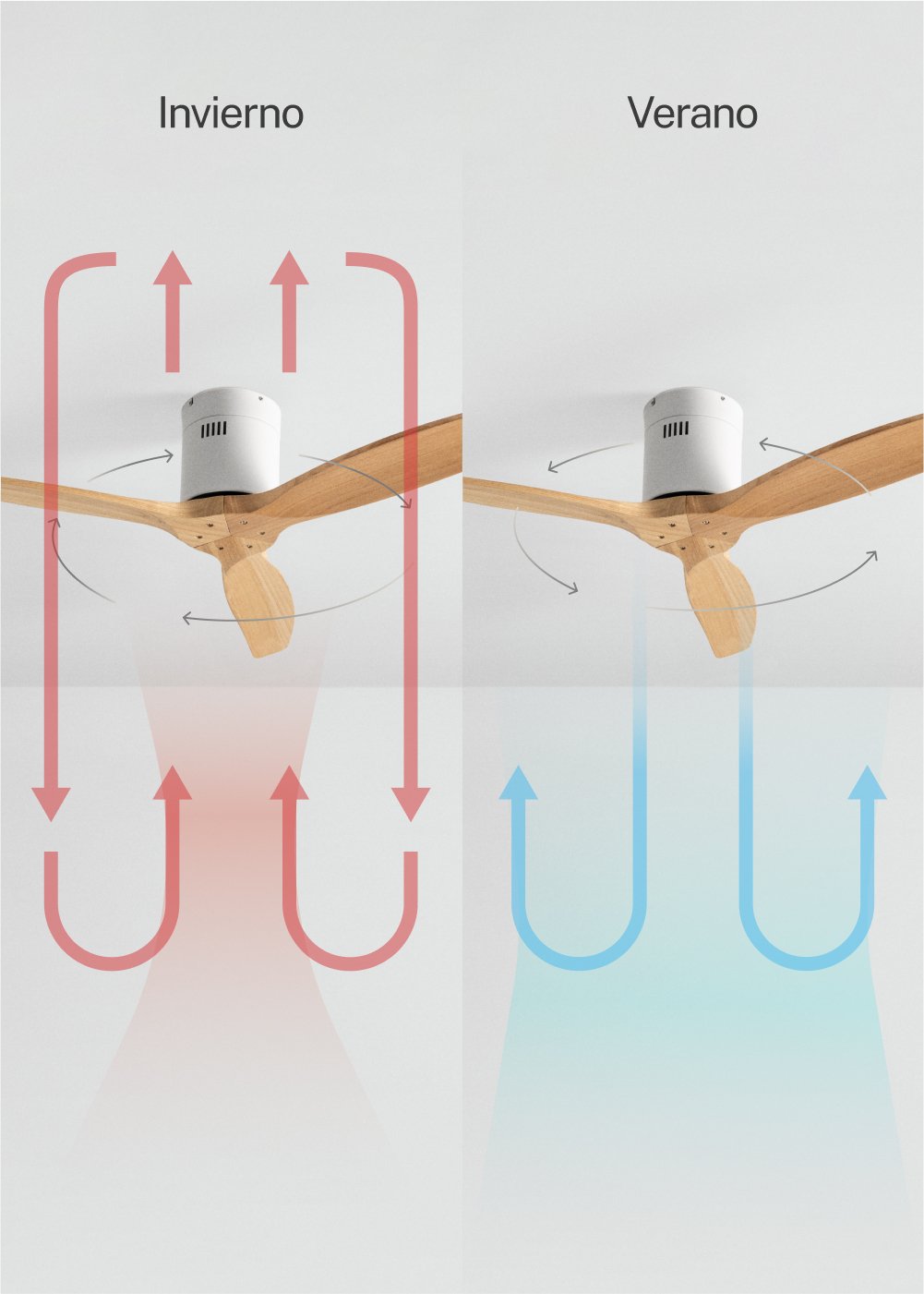 CREATE - WIND CALM - Ventilador de techo 40W silencioso Ø132 cm 100% madera, imagen de galería 3