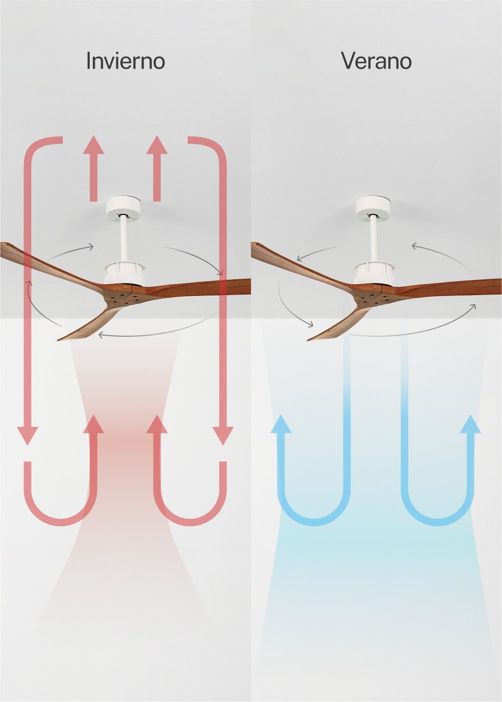 CREATE - WIND LARGE - Ventilador de techo 40W silencioso XL Ø152 cm 100% madera, imagen de galería 3