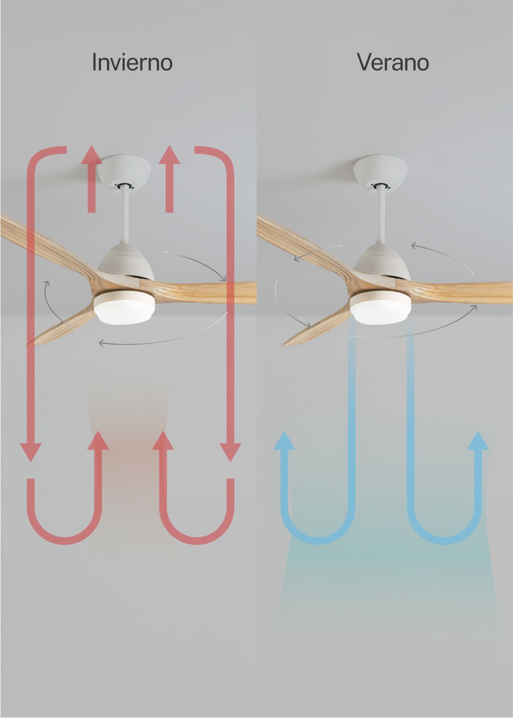 CREATE - WIND CUP - Ventilador de techo 40W silencioso Ø132 cm 100% madera, imagen de galería 3