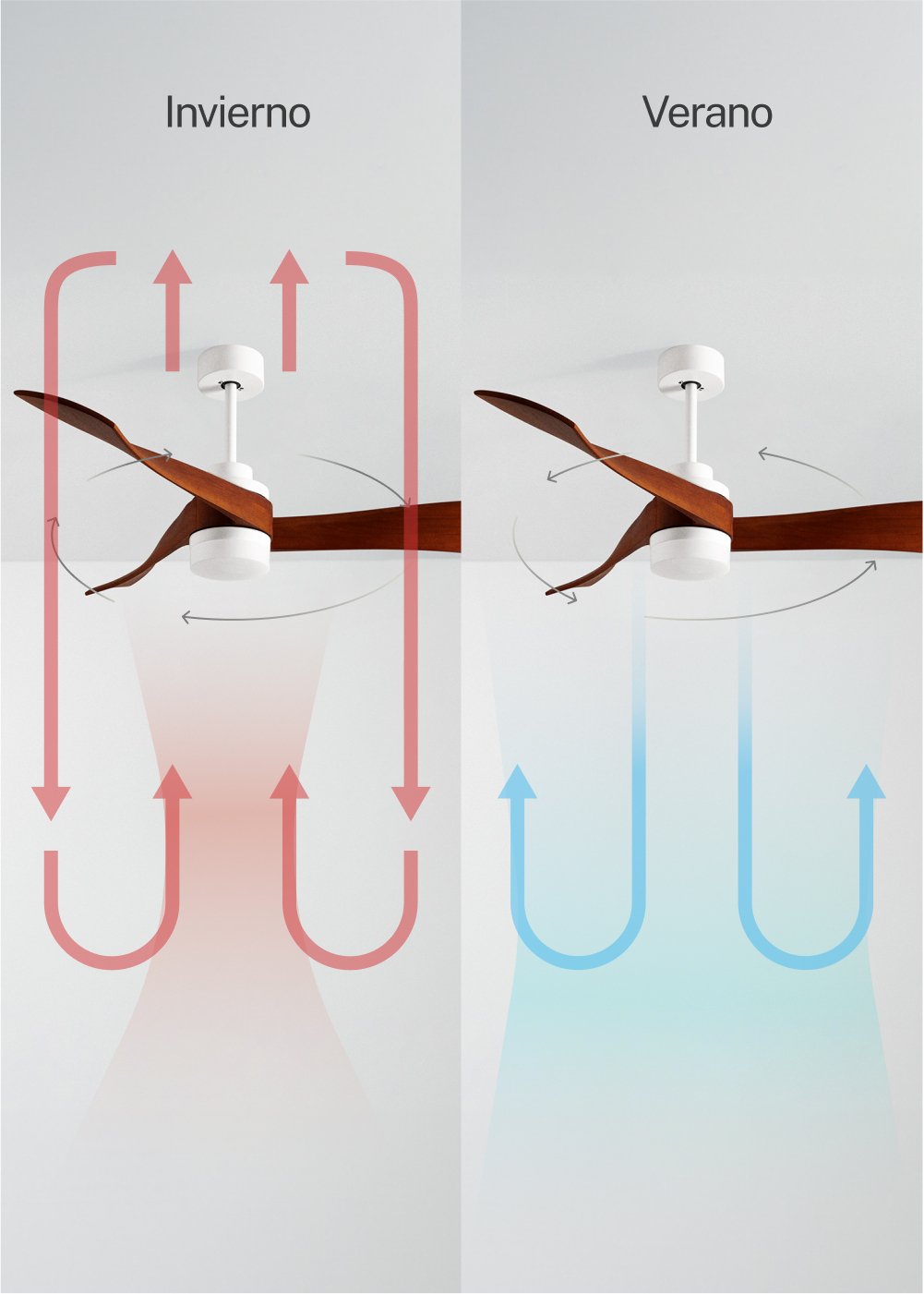 CREATE - WIND CURVE - Ventilador de techo 40W silencioso Ø132 cm 100% madera, imagen de galería 3