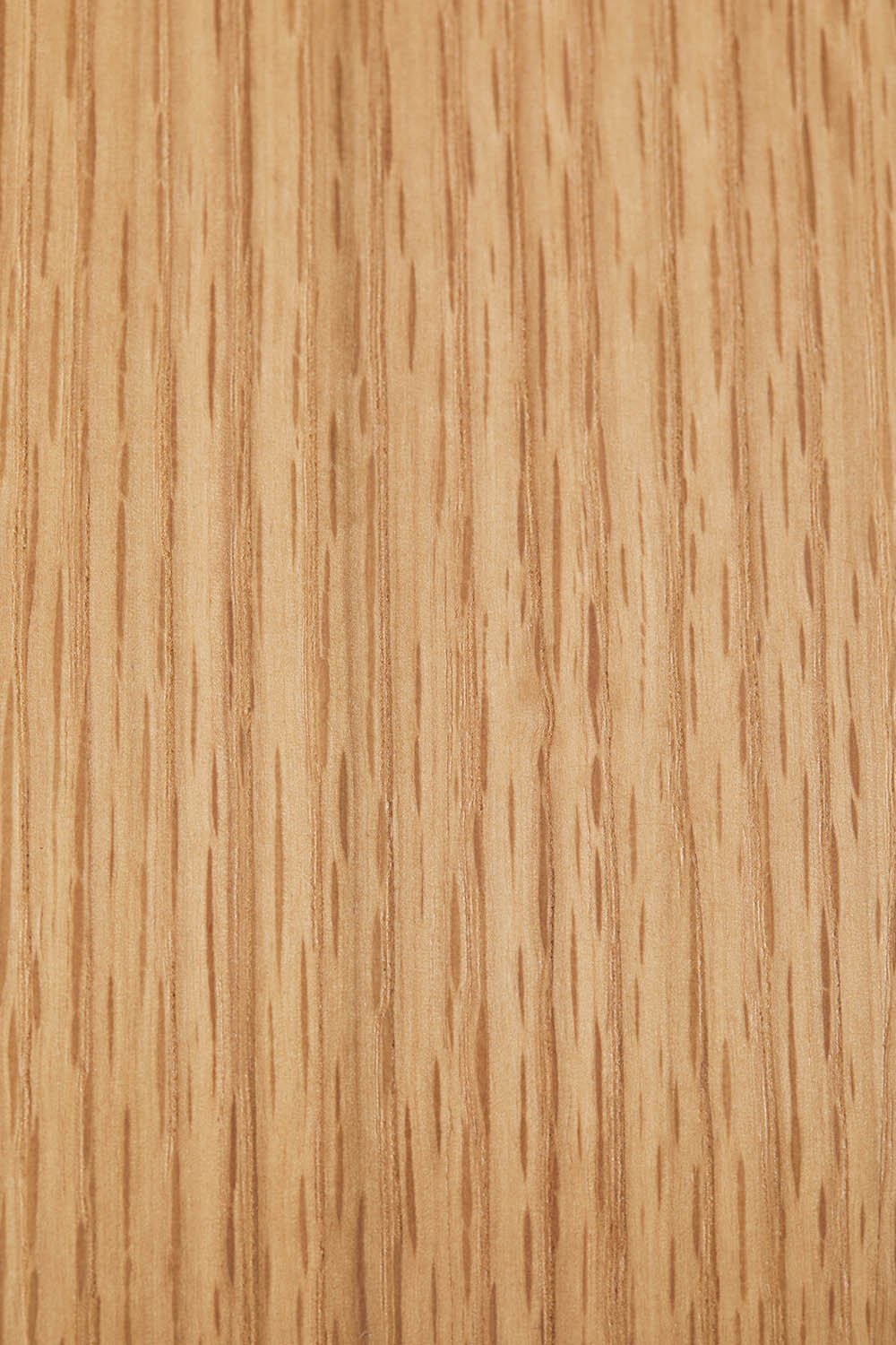 Silla de comedor en madera Elionora   , imagen de galería 7