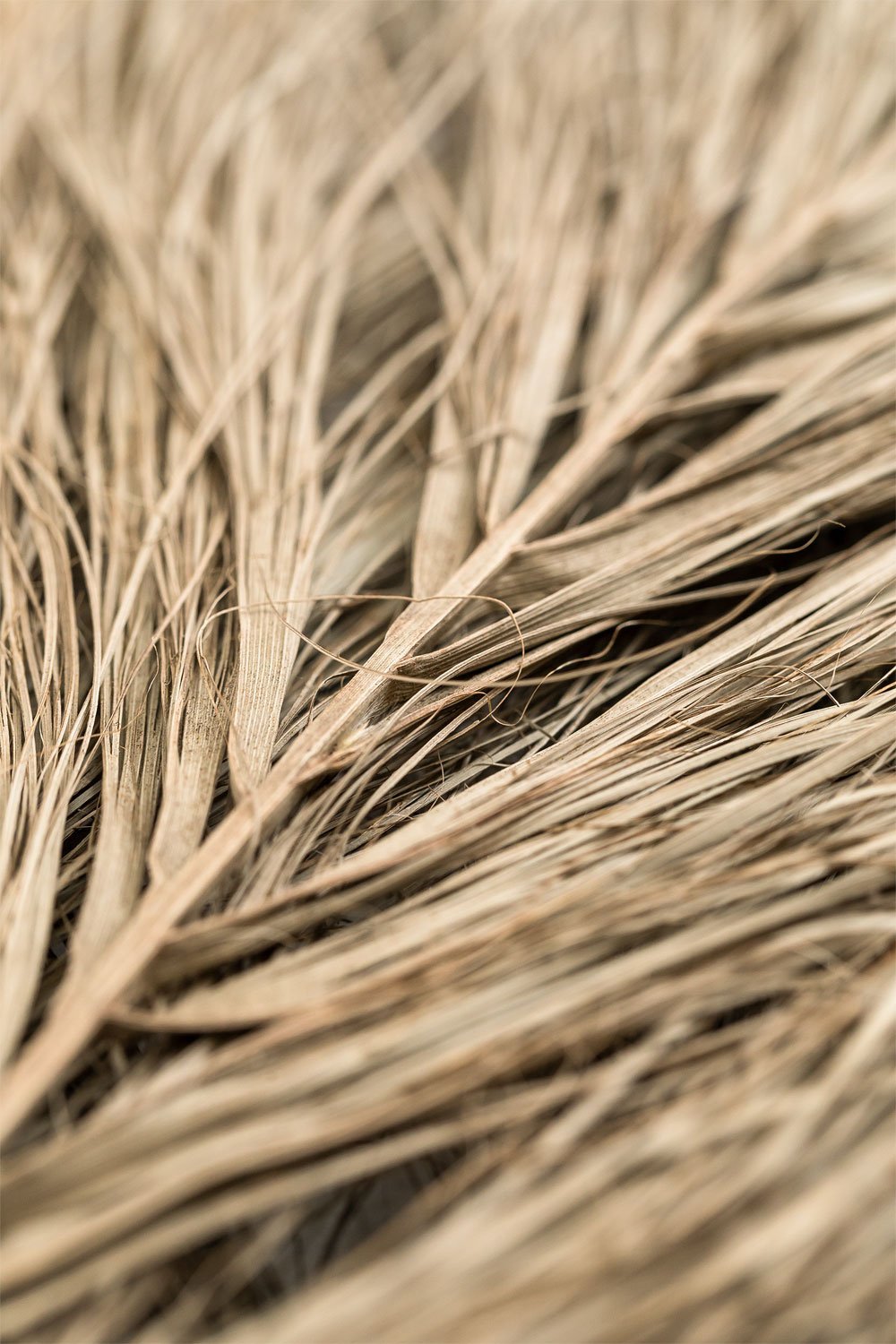 Pack de 6 Ramas Secas Decorativas Nereida, imagen de galería 5