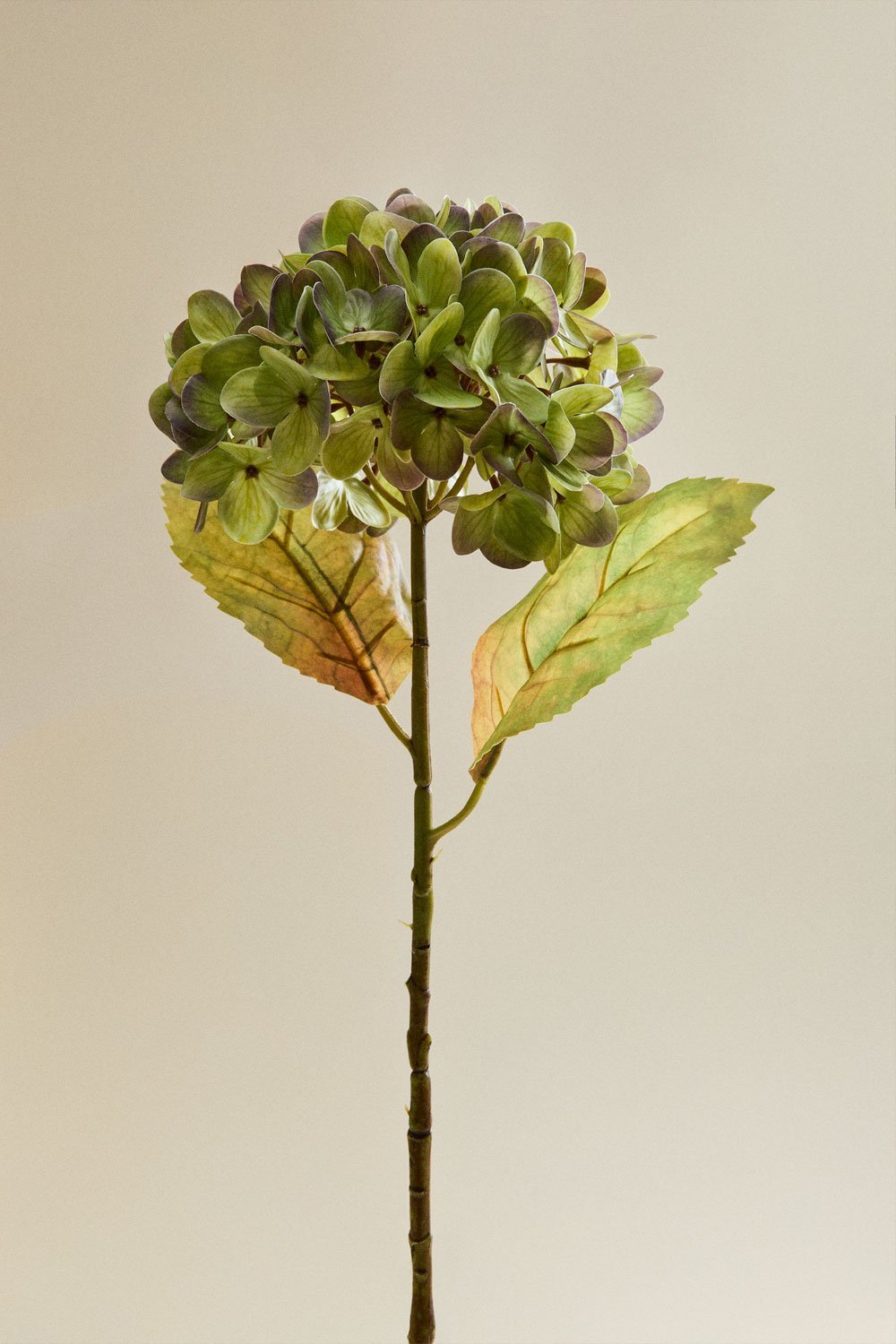 Pack de 2 flores decorativas Aurivel, imagen de galería 3