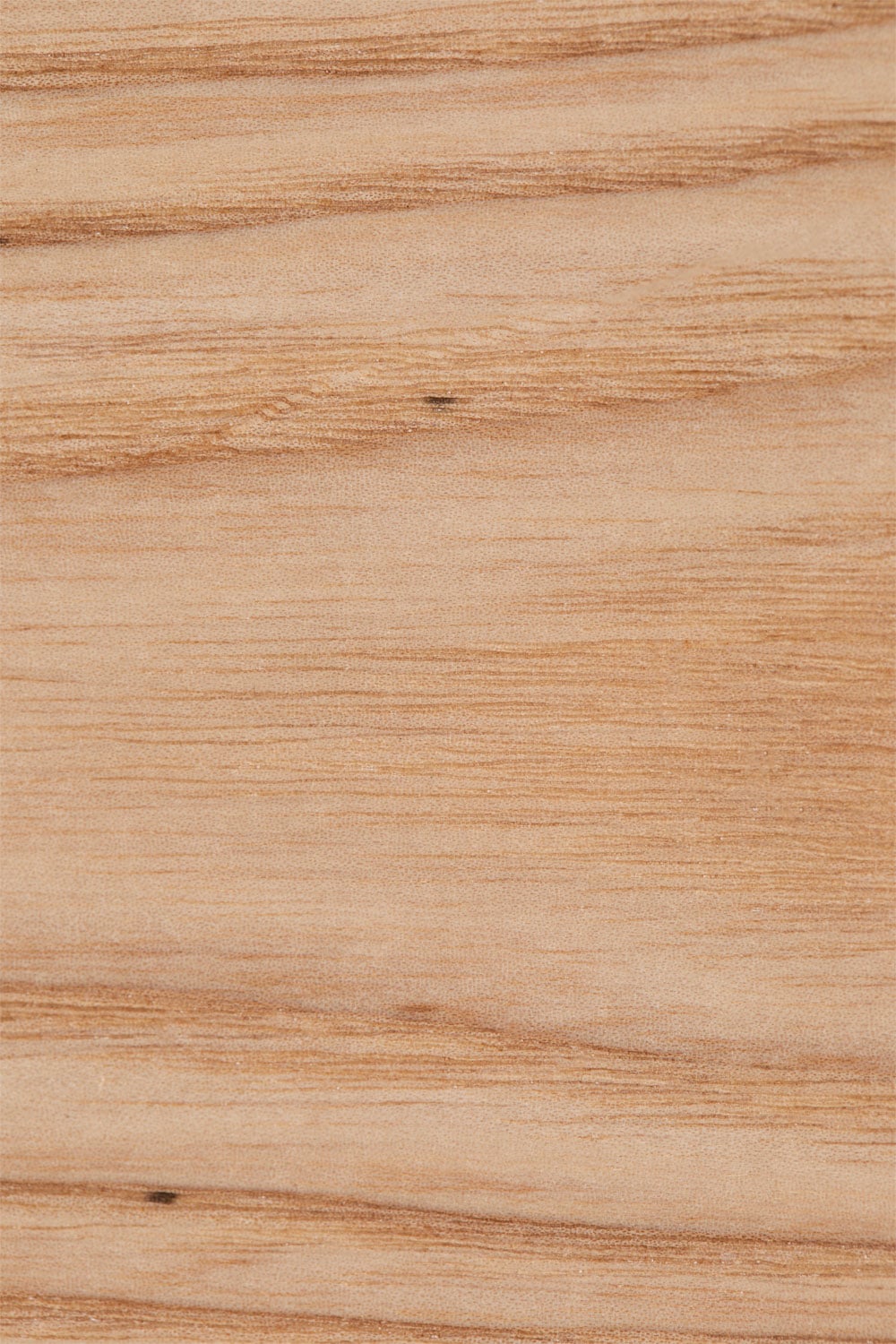 Pack de 2 sillas en hierro y madera Wilpier Kids, imagen de galer&iacute;a 6