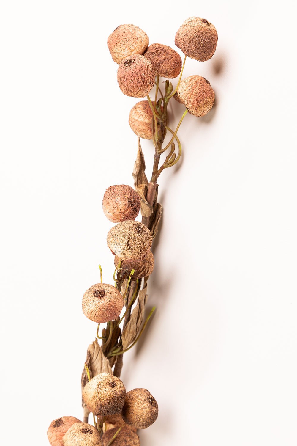 Pack de 2 Ramas Artificiales Flor de Ciruelo, imagen de galería 2