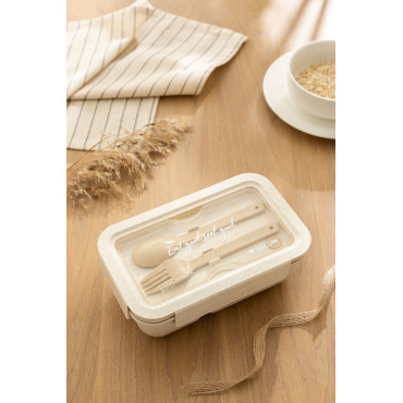 Lunch Box avec Couverts (850 ml) Viedsel