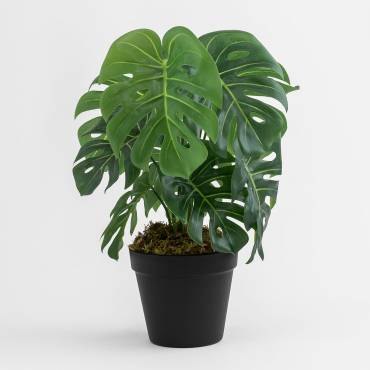 Plante Artificielle Décorative Monstera 35 Cm ↑35 Cm - Sklum