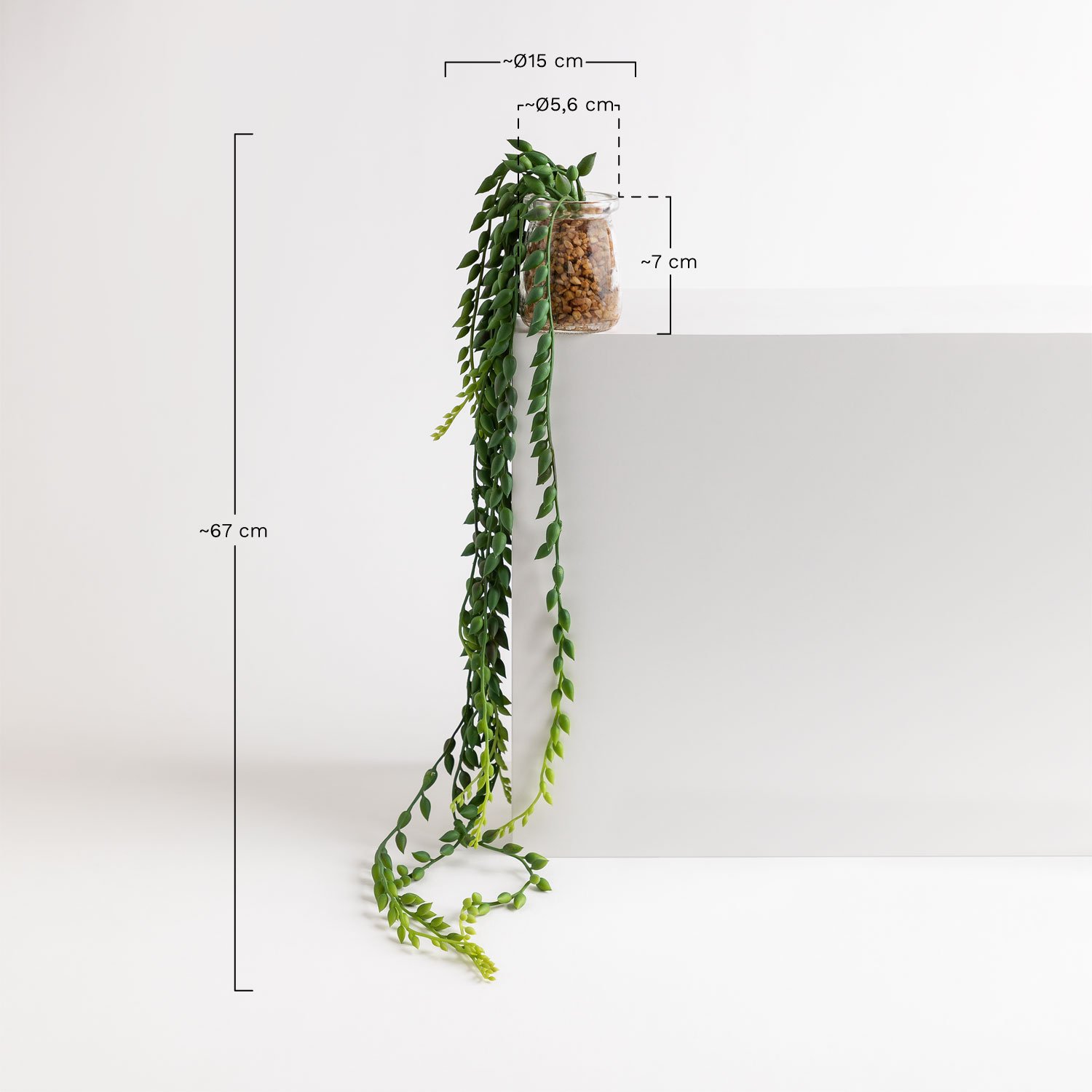 Plante Suspendue Artificielle Décorative de Dischidia - SKLUM