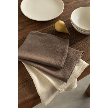 Set de 2 torchons en coton Ripert