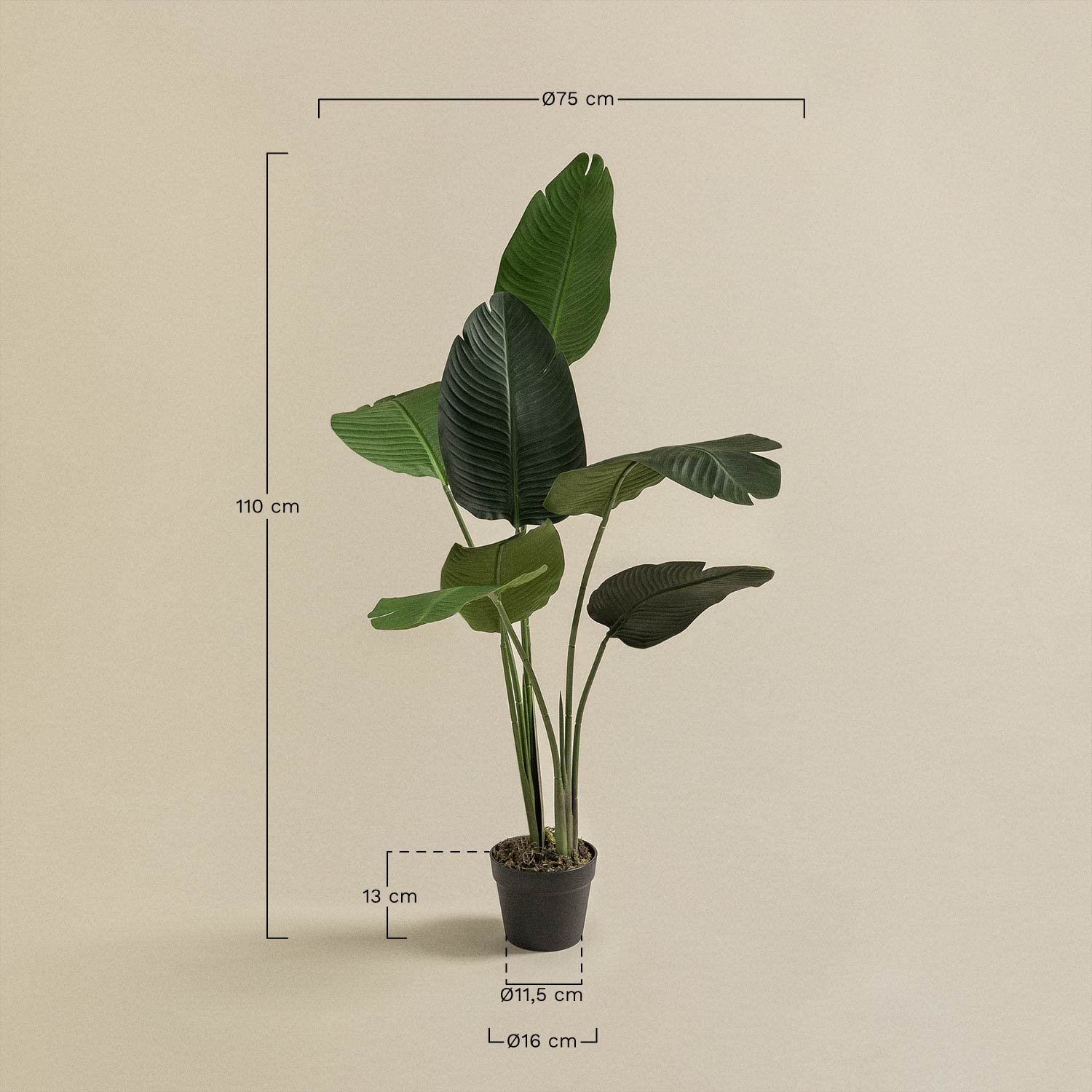 Plante artificielle décorative Strelitzia, mesures