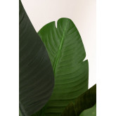 plante artificielle Bananera, image miniature 2